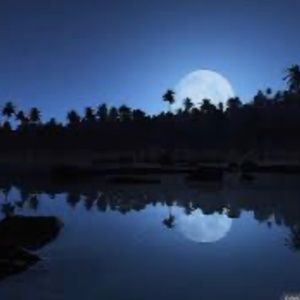 Meet your Posher, Cynthia